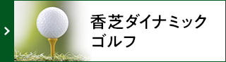 香芝ダイナミックゴルフ